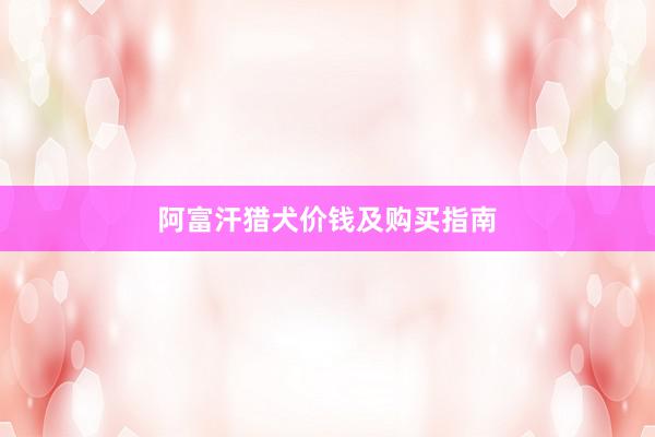 阿富汗猎犬价钱及购买指南